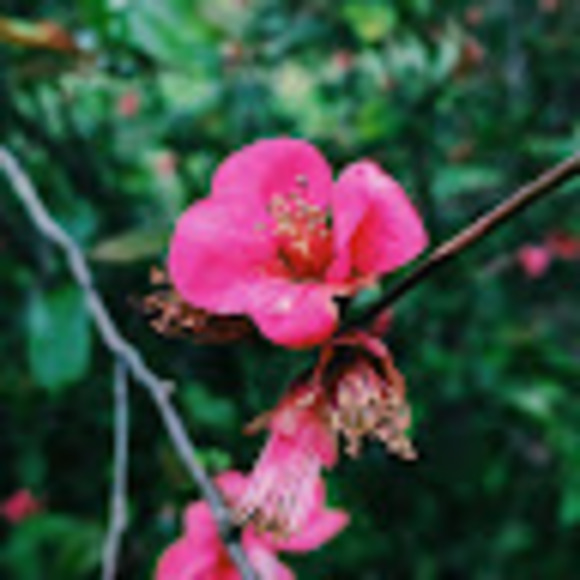 Meet your Posher, Eliana - Picture 1 of 1